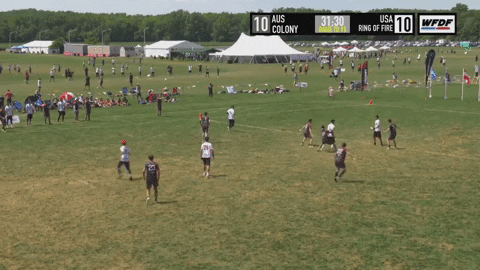 flikulti ultimate frisbee flik GIF