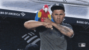 New York Sport GIF by New York Yankees