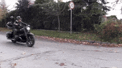 Jack_and_dog jackdog jacekborowski dogonamotorcycle jackanddog GIF