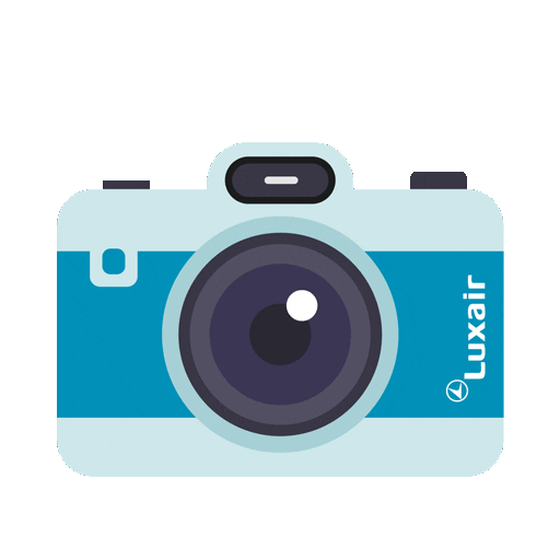 Picture Flying Sticker by Luxair