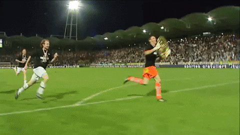 Bundesliga Meister GIF by SK Sturm