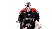 Celebration Goal Sticker by Les Ducs d'Angers