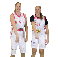 FoA_Naiset basketball friends koripallo naisten korisliiga Sticker