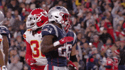 2018 nfl football GIF by New England Patriots