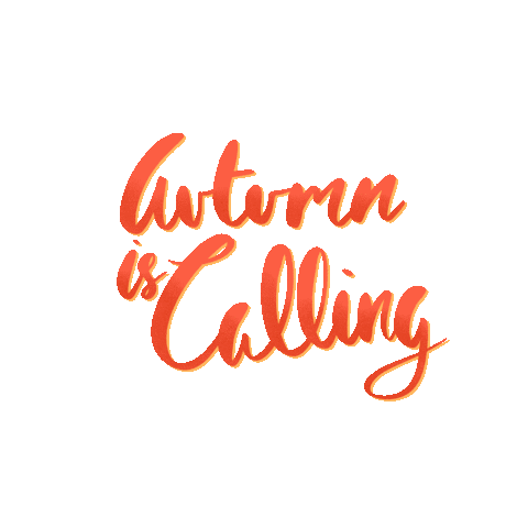 Autumn Leaves Fall Sticker