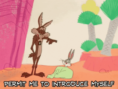 kevinwilliams74e7 giphygifmaker wile e coyote donald j trump stable genius GIF