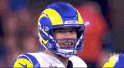 Super Bowl Football GIF by NFL