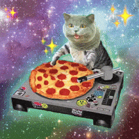 Cat Party GIF by Anne Horel
