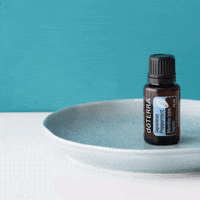 New Years Exercise GIF by Jennifer Accomando