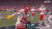 National Football League GIF by NFL