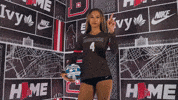 Wolfson GIF by Brown Volleyball