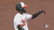 Regular Season Sport GIF by MLB
