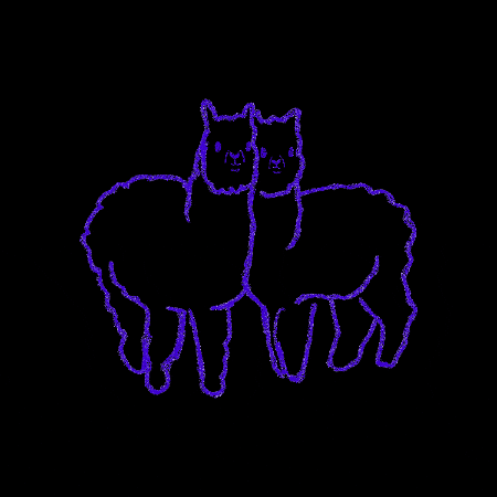 Lama Lamy GIF by Katalog Marzeń