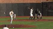Home Run Baseball GIF by Cincinnati Bearcats