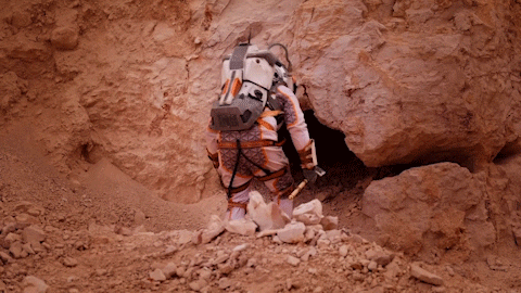 Excited Ronda Rousey GIF by Reality Club FOX