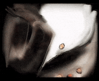 Fairy Tale Oscars GIF by Alex Boya