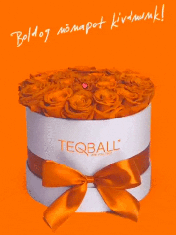 flowers areyouteq GIF by Teqball