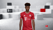 Fc Bayern Yes GIF by Bundesliga