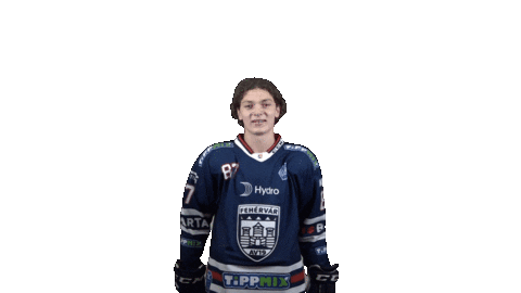 Ice Hockey Sticker by Fehervar AV19