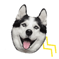 NATYKA dog husky chien mascotte Sticker