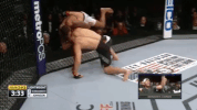 ufc 205 GIF