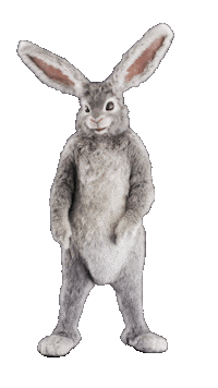 Rabbit Hole Dance Sticker by Tubi