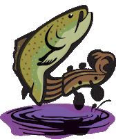 North Carolina Beer Sticker by Fiddlin' Fish Brewing Company