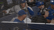 Celebrate Blue Jays GIF by Toronto Blue Jays