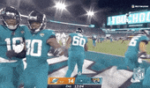 Jacksonville Jaguars Football GIF by NFL