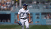 Lets Go Sport GIF by MLB