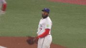 Blue Jays What GIF by Toronto Blue Jays
