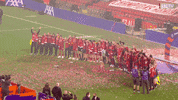 Premier League Football GIF by Liverpool FC