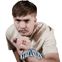 Band Livestream Sticker by Strandfestival ZAND