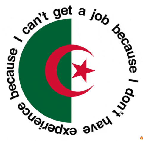 Job Algeria GIF