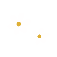 Lou Lou Daisy Sticker by Loulouandcompany