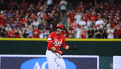 Baseball Mlb GIF by Cincinnati Reds
