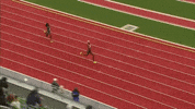 Goal Running GIF by World Athletics