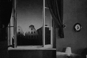 black and white film GIF