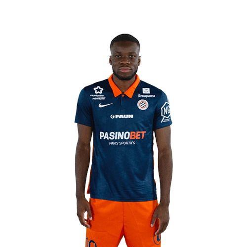 Go Come On Sticker by MHSC