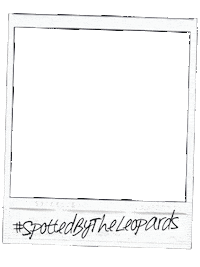 Polaroid Sticker by Leopardprints photography