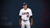Pro GIF by USA Baseball