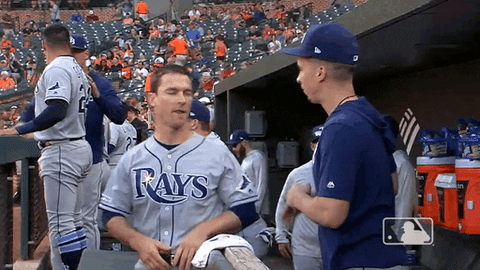 major league baseball sport GIF by MLB