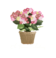Wearelittlebuds flower flowers little bouquet Sticker