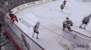 Excited Ice Hockey GIF by NHL