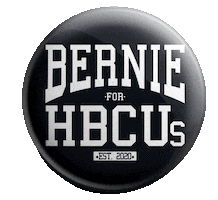 Feel The Bern Bernie 2020 Sticker by Bernie Sanders