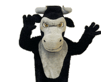 Happy Celebration Sticker by OrangeUSD