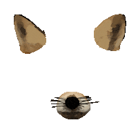 Sticker by Ladrón de Manzanas