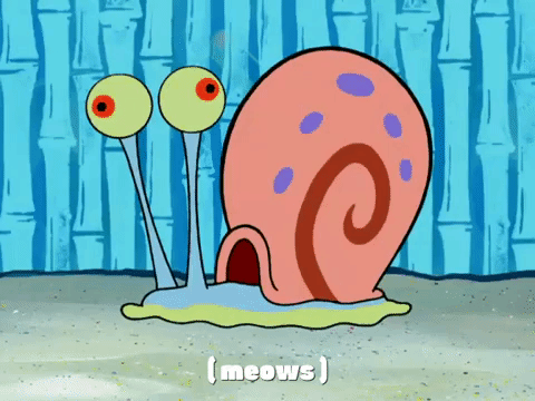 season 4 GIF by SpongeBob SquarePants