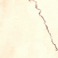 April Fools Dwx GIF by Dirty Workz