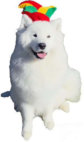 Carnaval Benji Sticker